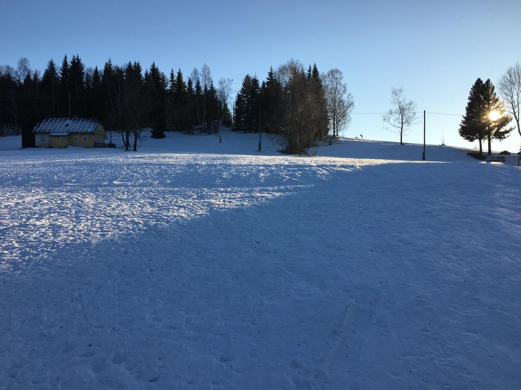 Penzion Pod Kaplickou Kořenov Eksteriør billede
